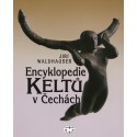 Encyklopedie Keltů v Čechách: Jiří Waldhauser - DEFEKT - POŠKOZENÉ DESKY