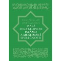 Malá encyklopedie islámu a muslimské společnosti: Bronislav Ostřanský